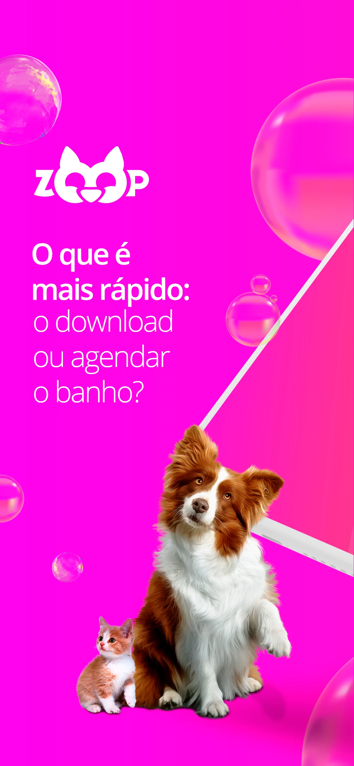 zoop screenshot