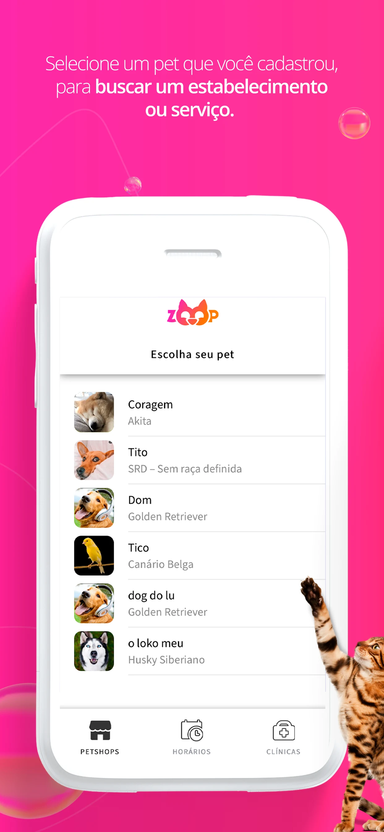 zoop screenshot