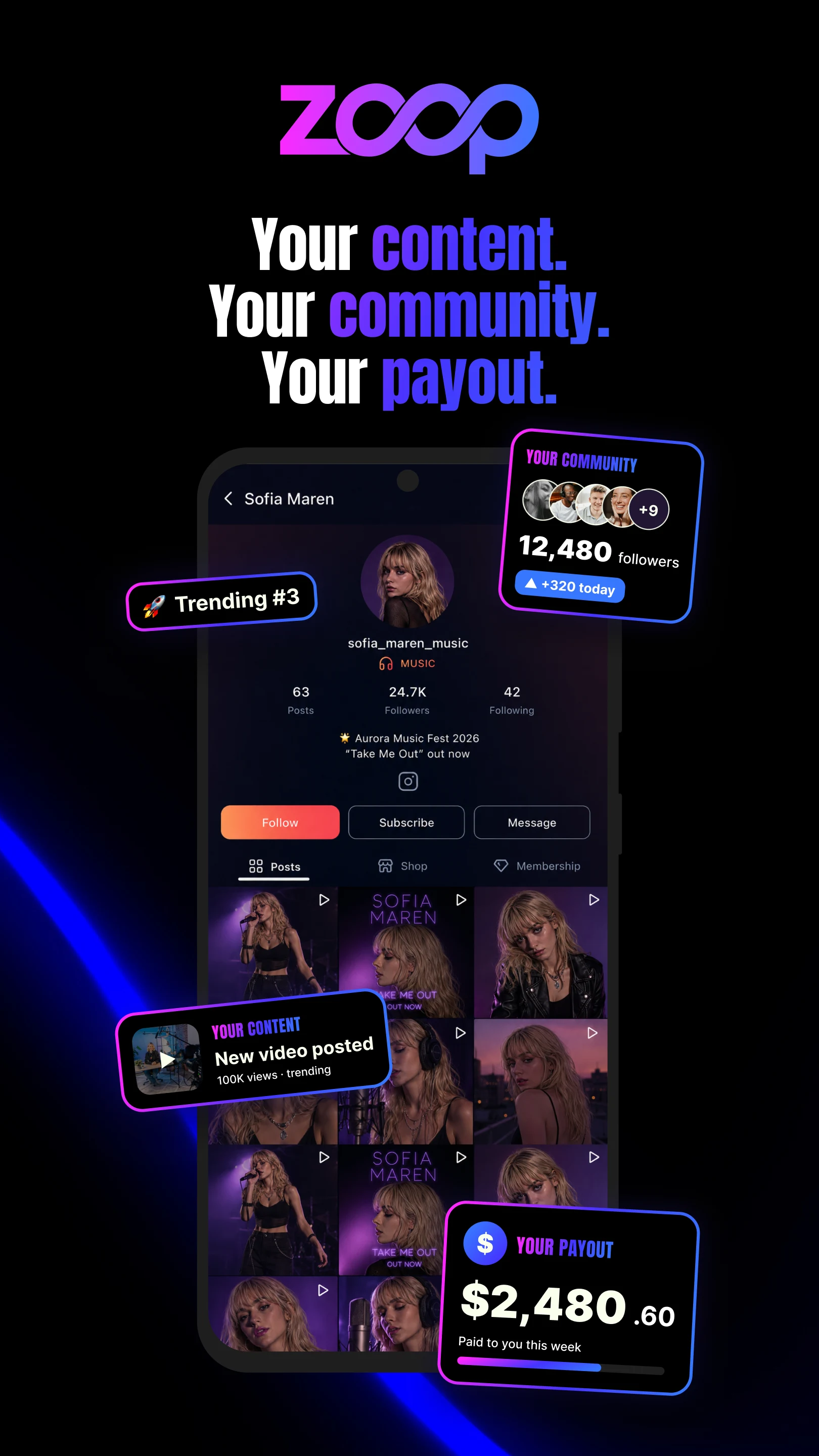 ZOOP screenshot